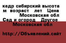 кедр сибирский высота 2м  возраст 9 лет › Цена ­ 10 000 - Московская обл. Сад и огород » Другое   . Московская обл.